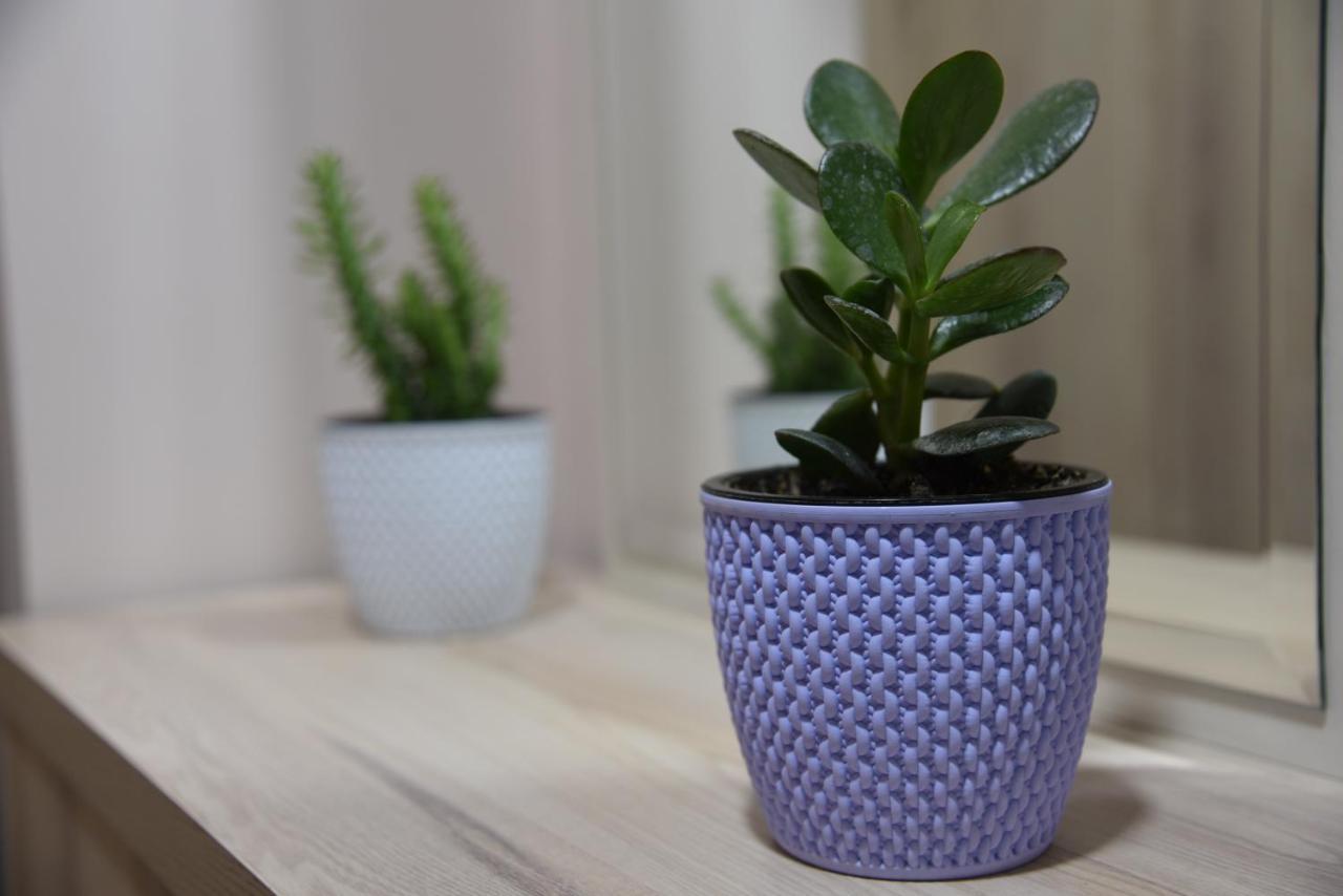 Ecoart Apartments Tiran Dış mekan fotoğraf